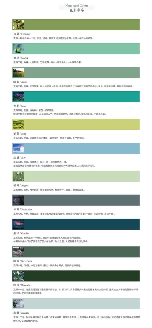 Thimple文具产品设计 以“唤心·青”系列引领数字内容制作新潮流